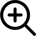Zoom Icon